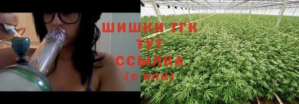 дживик Переславль-Залесский