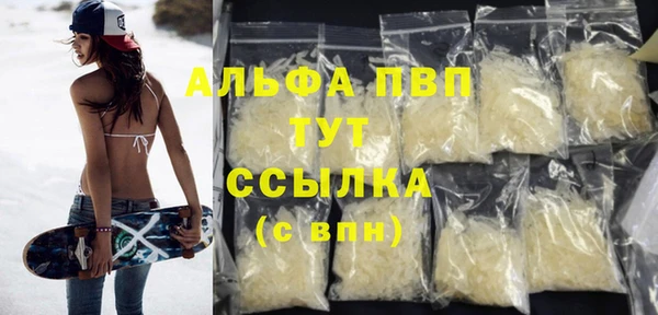 a pvp Пересвет